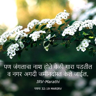 Picture 03 - यशया 32:19 MARIRV - पण जंगलाचा नाश - Bible Verse Picture