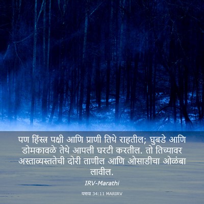 Picture 03 - यशया 34:11 MARIRV - पण हिंस्त्र पक्षी - Bible Verse Picture