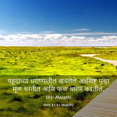 Picture 03 - यशया 37:31 MARIRV - यहूदाच्या - Bible Verse Picture