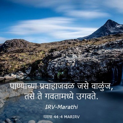 Picture 03 - यशया 44:4 MARIRV - पाण्याच्या - Bible Verse Picture