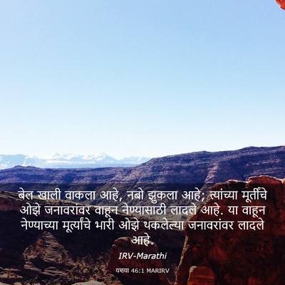 Picture 03 - यशया 46:1 MARIRV - बेल खाली वाकला आहे, - Bible Verse Picture