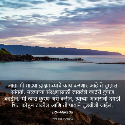 Picture 03 - यशया 5:5 MARIRV - आता मी माझ्या - Bible Verse Picture