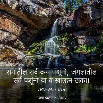 Picture 03 - यशया 56:9 MARIRV - रानातील सर्व वन्य - Bible Verse Picture
