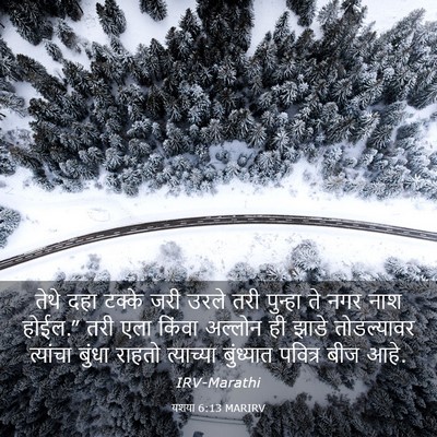 Picture 03 - यशया 6:13 MARIRV - तेथे दहा टक्के जरी - Bible Verse Picture