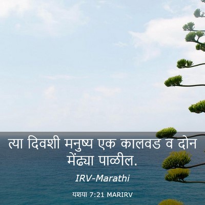 Picture 03 - यशया 7:21 MARIRV - त्या दिवशी मनुष्य - Bible Verse Picture