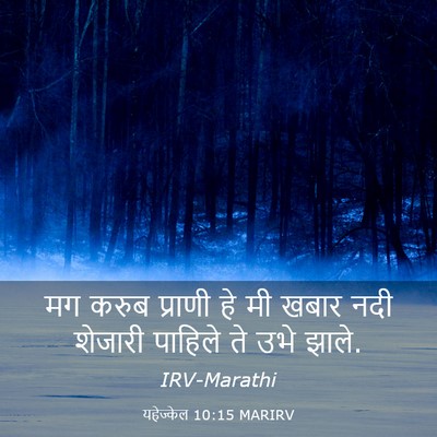 Picture 03 - यहेज्केल 10:15 MARIRV - मग करुब प्राणी हे - Bible Verse Picture