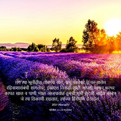 Picture 03 - यहेज्केल 12:19 MARIRV - मग त्या भूमीतील - Bible Verse Picture