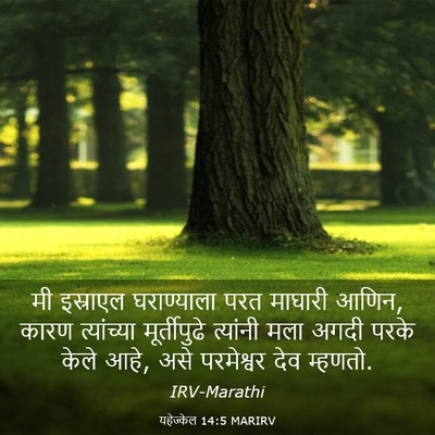 Picture 03 - यहेज्केल 14:5 MARIRV - मी इस्राएल - Bible Verse Picture