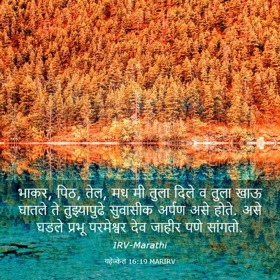 Picture 03 - यहेज्केल 16:19 MARIRV - भाकर, पिठ, तेल, मध मी - Bible Verse Picture
