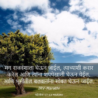 Picture 03 - यहेज्केल 17:13 MARIRV - मग राजवंशाला घेऊन - Bible Verse Picture