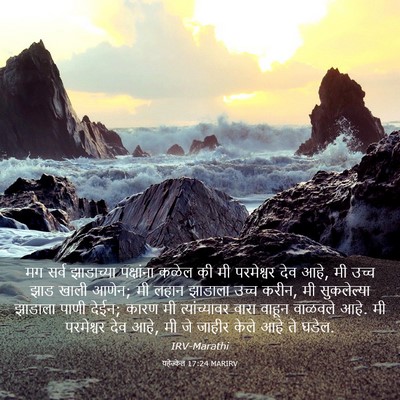 Picture 03 - यहेज्केल 17:24 MARIRV - मग सर्व झाडाच्या - Bible Verse Picture