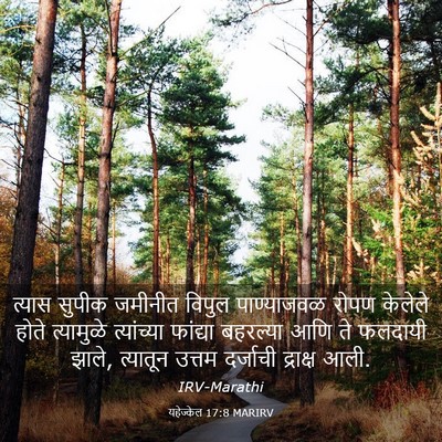 Picture 03 - यहेज्केल 17:8 MARIRV - त्यास सुपीक - Bible Verse Picture