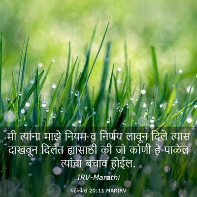 Picture 03 - यहेज्केल 20:11 MARIRV - मी त्यांना माझे - Bible Verse Picture