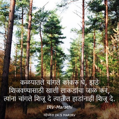 Picture 03 - यहेज्केल 24:5 MARIRV - कळपातले चांगले - Bible Verse Picture