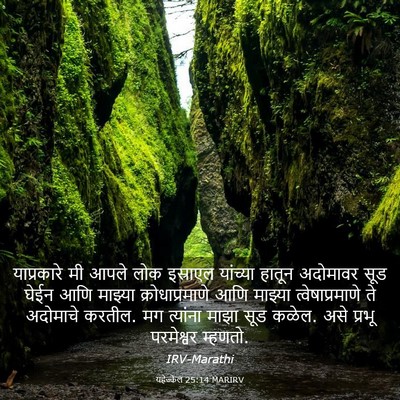 Picture 03 - यहेज्केल 25:14 MARIRV - याप्रकारे मी आपले - Bible Verse Picture