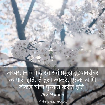 Picture 03 - यहेज्केल 27:21 MARIRV - अरबस्तान व - Bible Verse Picture