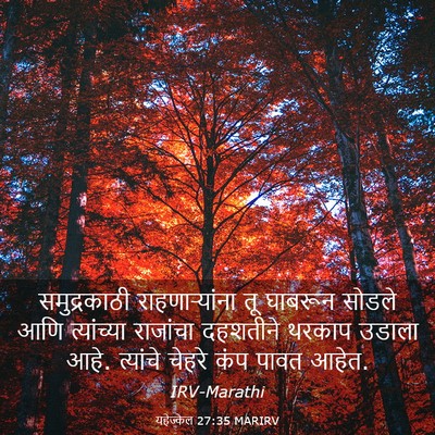 Picture 03 - यहेज्केल 27:35 MARIRV - समुद्रकाठी - Bible Verse Picture