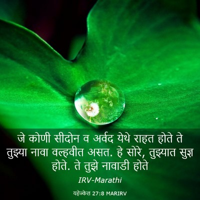 Picture 03 - यहेज्केल 27:8 MARIRV - जे कोणी सीदोन व - Bible Verse Picture