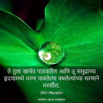 Picture 03 - यहेज्केल 28:8 MARIRV - ते तुला खाचेत - Bible Verse Picture