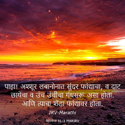 Picture 03 - यहेज्केल 31:3 MARIRV - पाहा! अश्शूर - Bible Verse Picture