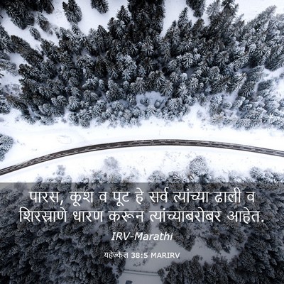 Picture 03 - यहेज्केल 38:5 MARIRV - पारस, कूश व पूट हे - Bible Verse Picture