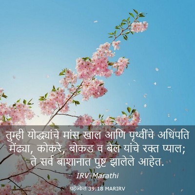 Picture 03 - यहेज्केल 39:18 MARIRV - तुम्ही - Bible Verse Picture