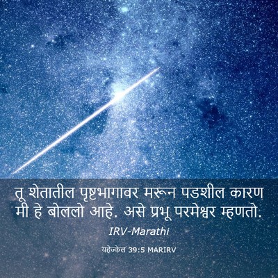 Picture 03 - यहेज्केल 39:5 MARIRV - तू शेतातील - Bible Verse Picture