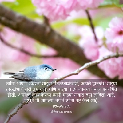 Picture 03 - यहेज्केल 43:8 MARIRV - त्यांनी आपला - Bible Verse Picture