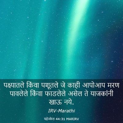 Picture 03 - यहेज्केल 44:31 MARIRV - पक्ष्यातले किंवा - Bible Verse Picture