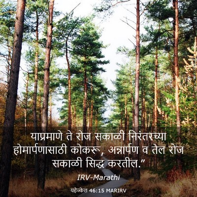 Picture 03 - यहेज्केल 46:15 MARIRV - याप्रमाणे ते रोज - Bible Verse Picture