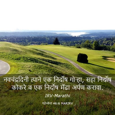 Picture 03 - यहेज्केल 46:6 MARIRV - नवचंद्रदिनी - Bible Verse Picture