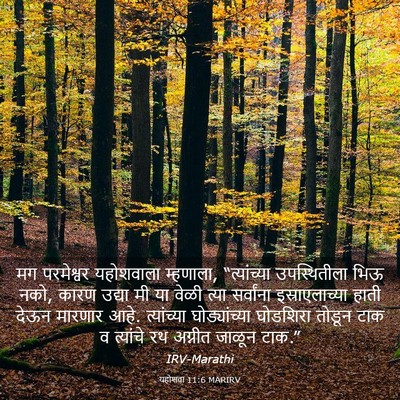 Picture 03 - यहोशवा 11:6 MARIRV - मग परमेश्वर - Bible Verse Picture