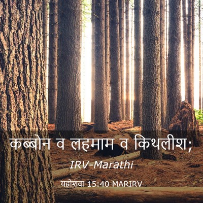 Picture 03 - यहोशवा 15:40 MARIRV - कब्बोन व लहमाम व - Bible Verse Picture