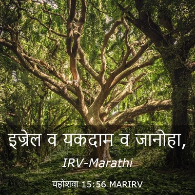 Picture 03 - यहोशवा 15:56 MARIRV - इज्रेल व यकदाम व - Bible Verse Picture