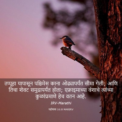 Picture 03 - यहोशवा 16:8 MARIRV - तप्पूहा यापासून - Bible Verse Picture