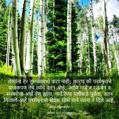 Picture 03 - यहोशवा 18:7 MARIRV - लेव्यांना तर - Bible Verse Picture