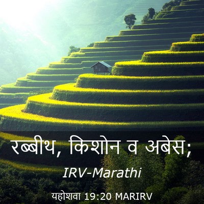 Picture 03 - यहोशवा 19:20 MARIRV - रब्बीथ, किशोन व - Bible Verse Picture