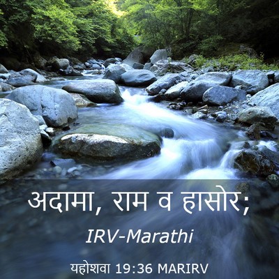 Picture 03 - यहोशवा 19:36 MARIRV - अदामा, राम व - Bible Verse Picture