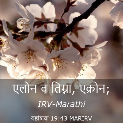 Picture 03 - यहोशवा 19:43 MARIRV - एलोन व तिम्ना, - Bible Verse Picture