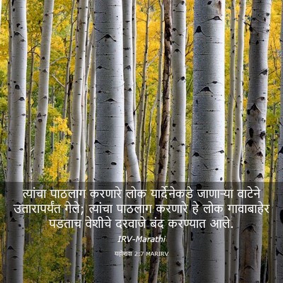 Picture 03 - यहोशवा 2:7 MARIRV - त्यांचा पाठलाग - Bible Verse Picture