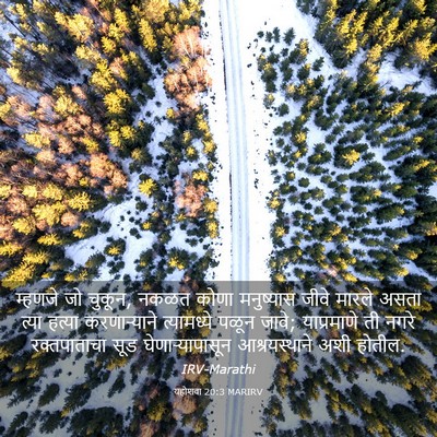 Picture 03 - यहोशवा 20:3 MARIRV - म्हणजे जो चुकून, - Bible Verse Picture