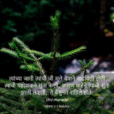 Picture 03 - यहोशवा 5:7 MARIRV - त्यांच्या जागी - Bible Verse Picture