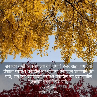 Picture 03 - यहोशवा 7:14 MARIRV - सकाळी तुम्ही - Bible Verse Picture