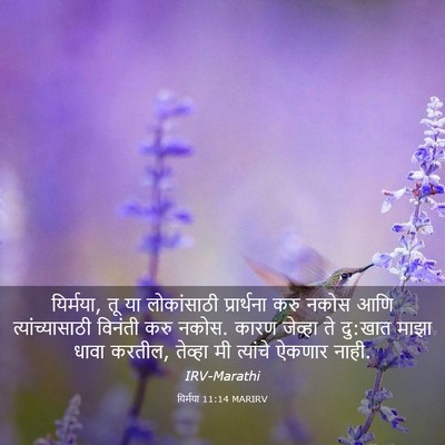 Picture 03 - यिर्मया 11:14 MARIRV - यिर्मया, तू या - Bible Verse Picture