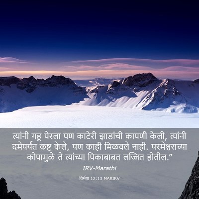 Picture 03 - यिर्मया 12:13 MARIRV - त्यांनी गहू पेरला - Bible Verse Picture