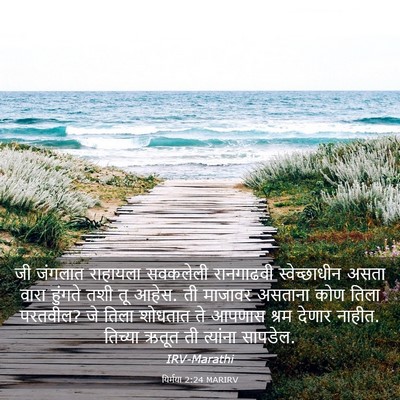Picture 03 - यिर्मया 2:24 MARIRV - जी जंगलात राहायला - Bible Verse Picture