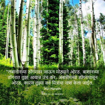 Picture 03 - यिर्मया 22:20 MARIRV - “लबानोनच्या - Bible Verse Picture