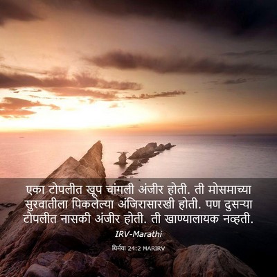 Picture 03 - यिर्मया 24:2 MARIRV - एका टोपलीत खूप - Bible Verse Picture