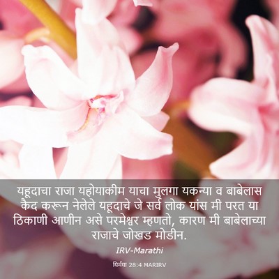 Picture 03 - यिर्मया 28:4 MARIRV - यहूदाचा राजा - Bible Verse Picture