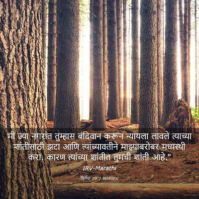 Picture 03 - यिर्मया 29:7 MARIRV - मी ज्या नगरांत - Bible Verse Picture